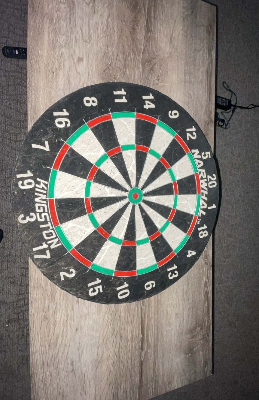EastPoint Sports Narwhal Kingston Official Size Bristle Dartboard